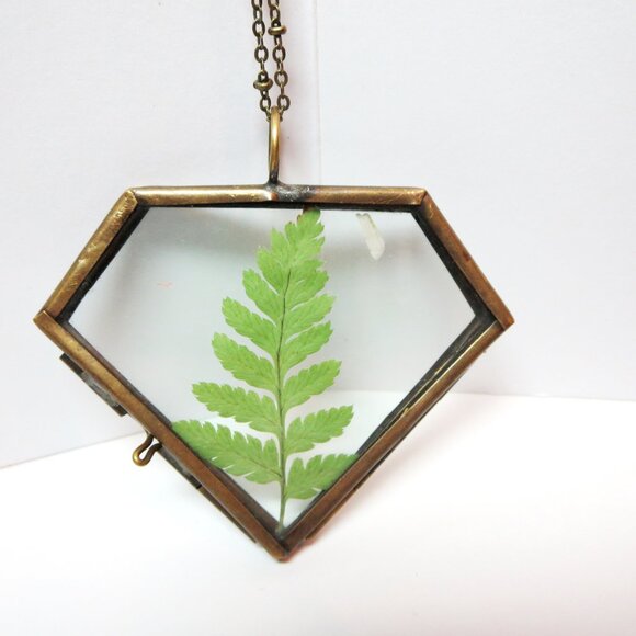 Fern Necklace Pressed Fern charm dried ferm Terrarium pendant Botanical locket - Picture 9 of 11